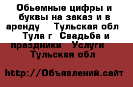 Обьемные цифры и буквы на заказ и в аренду! - Тульская обл., Тула г. Свадьба и праздники » Услуги   . Тульская обл.